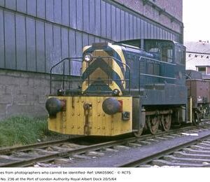 UNK0596C