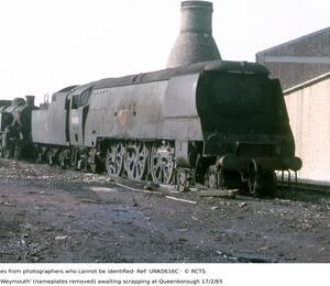 UNK0616C