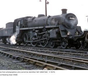 UNK0736C