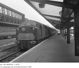 WARD354