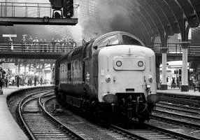 Deltic No. 55014 'The Duke of Wellington's Regiment' has just run round a Scarborough to Newcastle additional in the centre roads at York station on August 23rd 1981 and makes a characteristic Deltic departure, to the delight of the many onlookers. Photo: Michael Smyth.