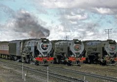 Two SAR Class 25 “Condenser” 4-8-4s sit side by side at the wayside station of Britsville, both of them with northbound freights in the loops, as a northbound passenger train hauled by another "Condenser" overtakes them, before resuming their journeys to De Aar. Monday 4th September 1972.