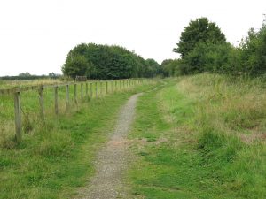 Track bed South of Milcote