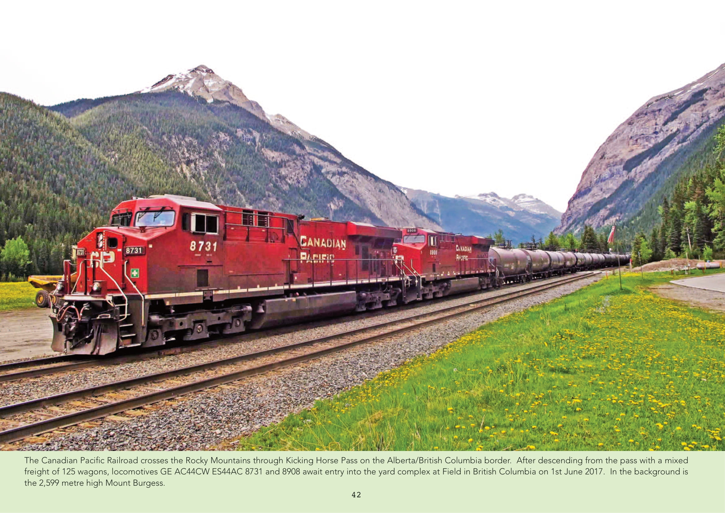 A Photographic Journey from 1980 to 2020 - Image 3