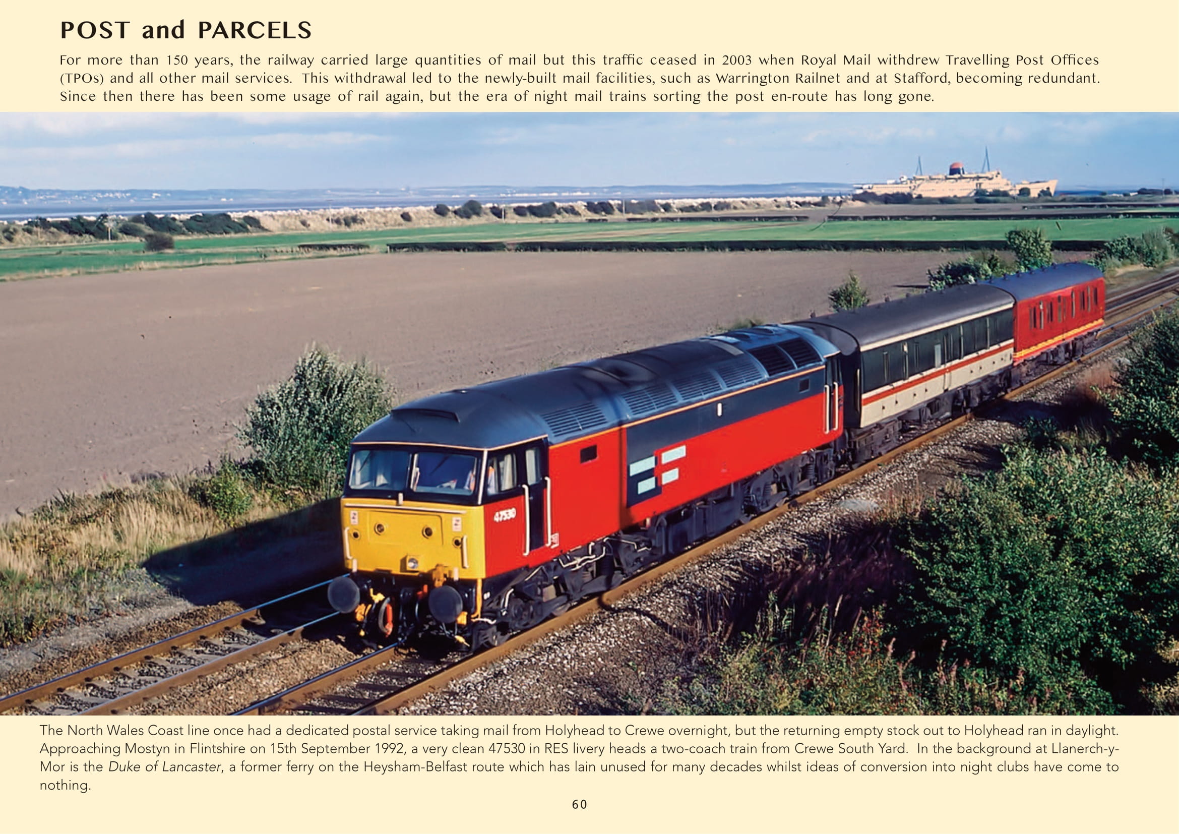 A Photographic Journey from 1980 to 2020 - Image 5