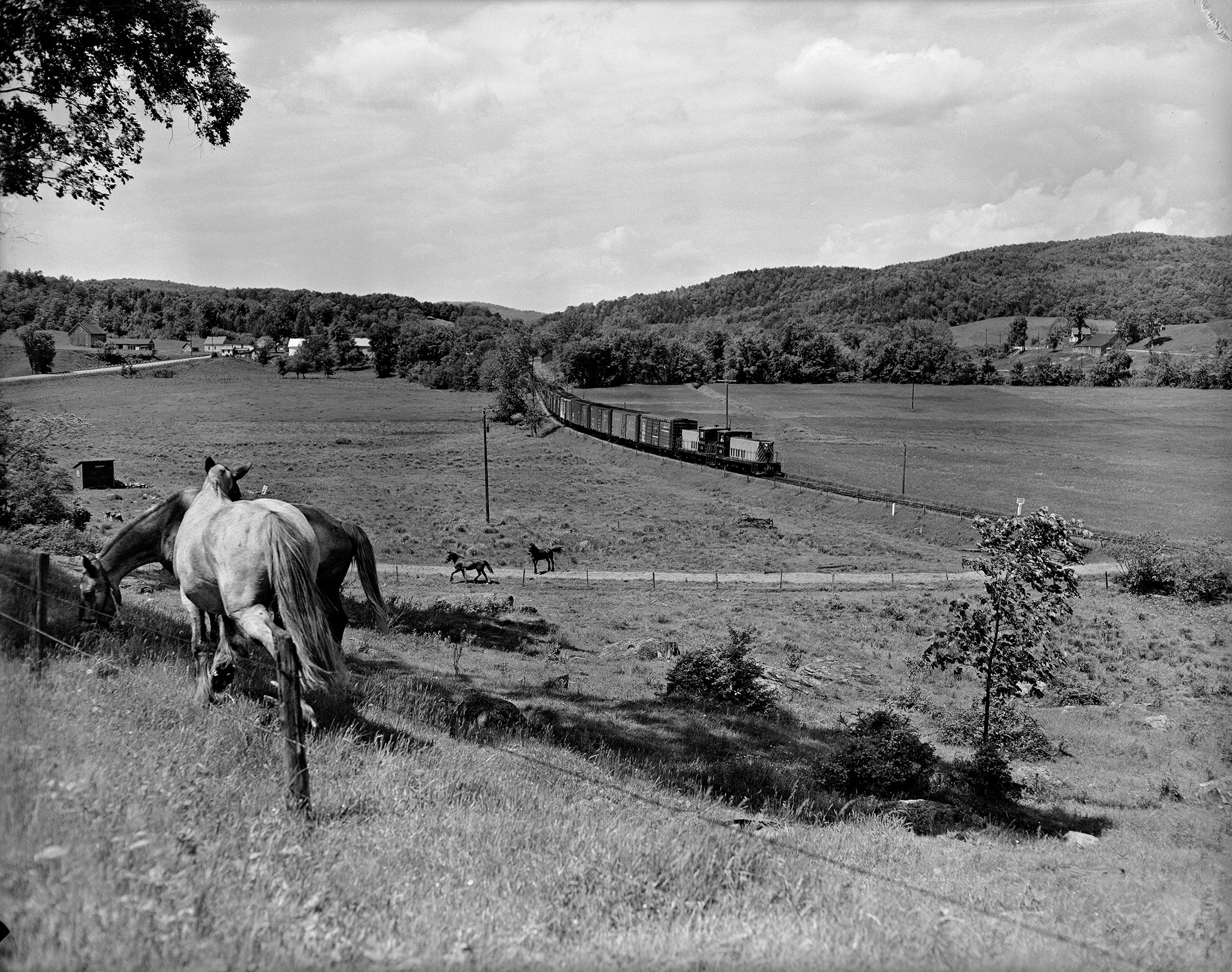 In one of Jim Shaughnessy’s favorite images, the St. Johnsbury & Lamoille County’s daily mixed train #44 rolls east through the Lamoille Valley of northern Vermont on its 96 mile journey to St. Johnsbury, while horses, two choosing to race the train, enjoy one of the lush pastures in the area. The tranquility of their domain will not be disturbed until the same time tomorrow by this lightly traveled shortline railroad. Image shot by Shaughnessy in 1955.